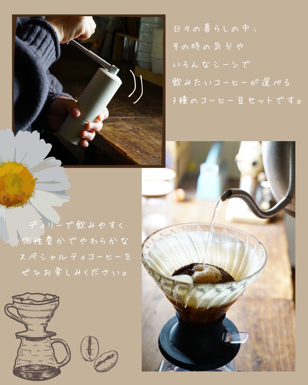 【送料無料】365日のやさしいコーヒー便