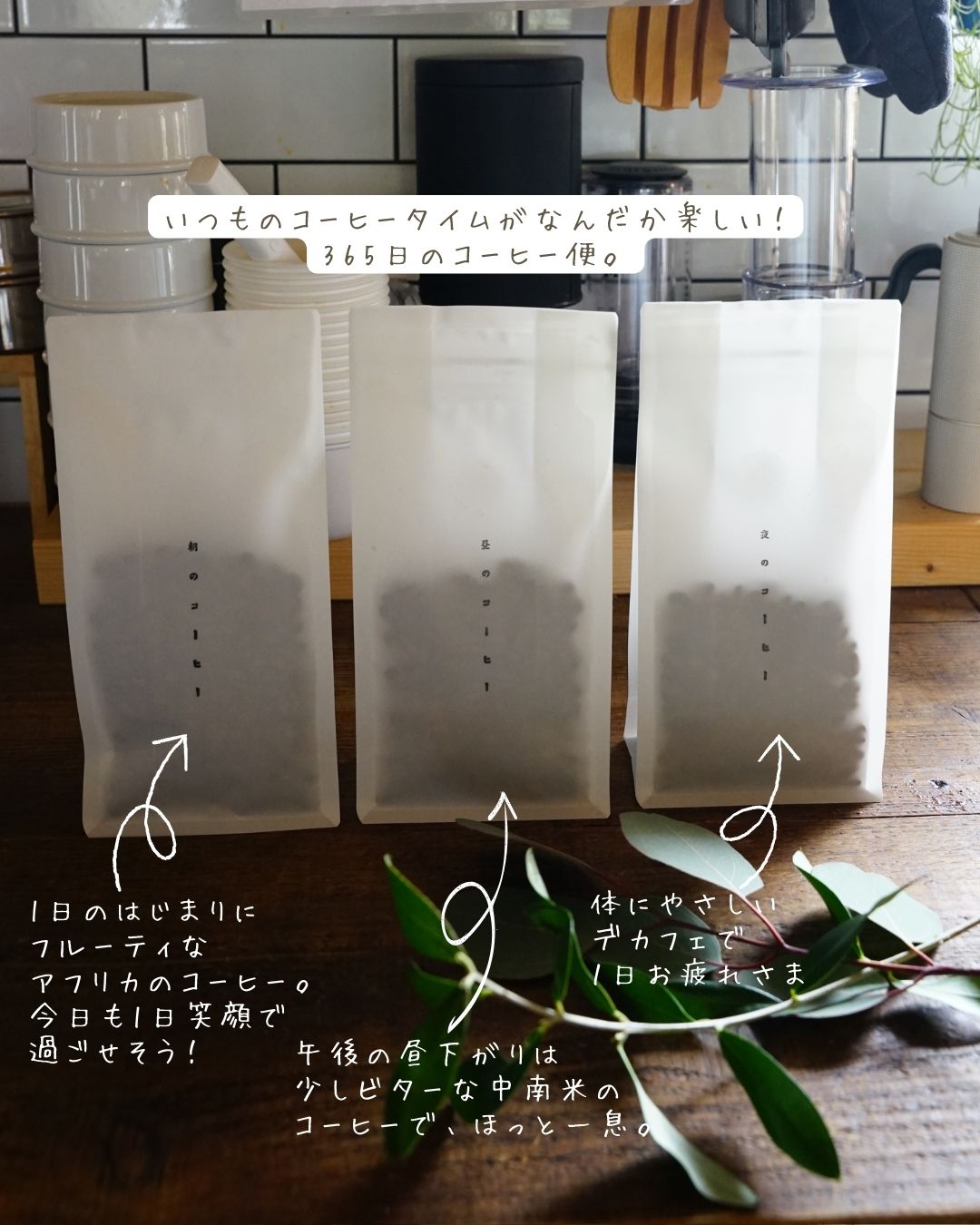 【送料無料】365日のやさしいコーヒー便