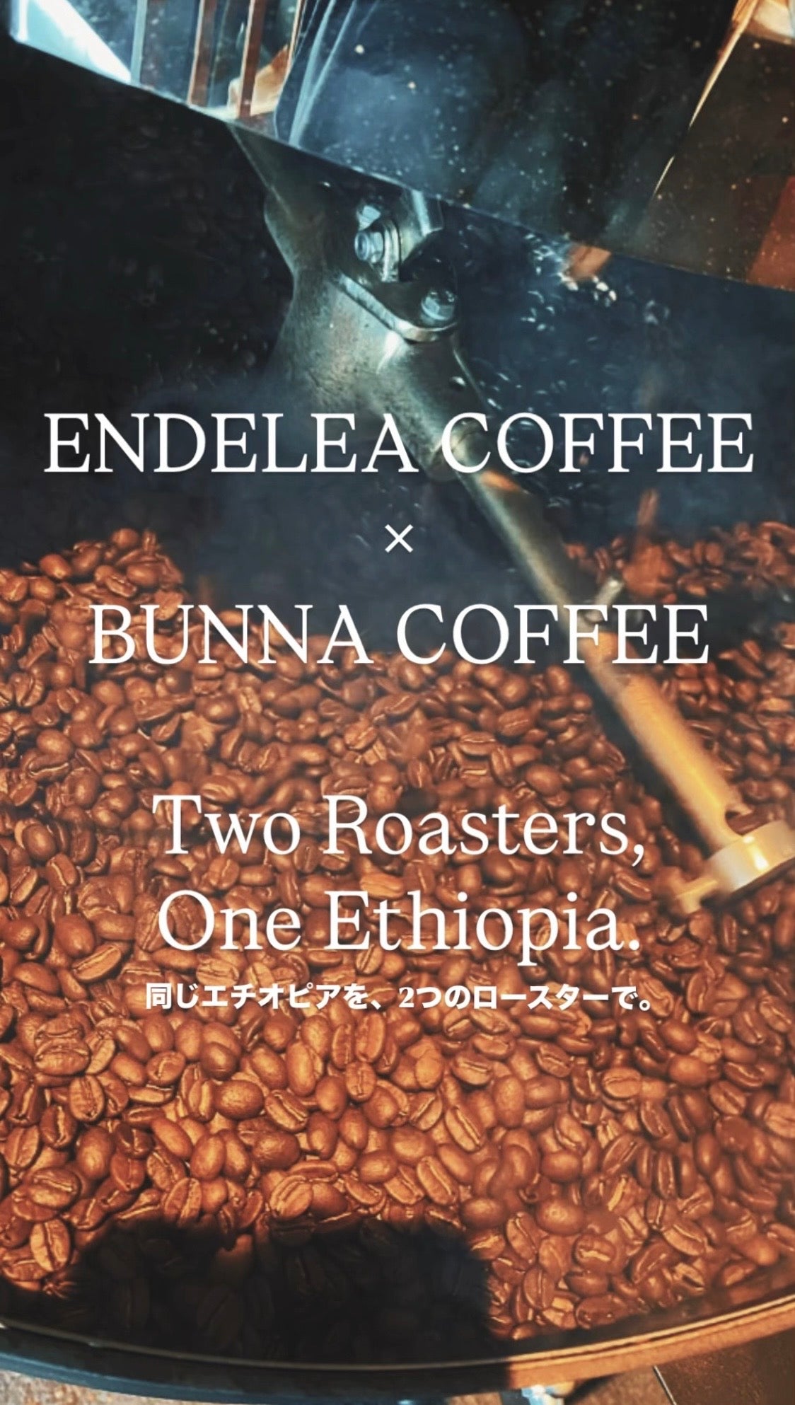 ENDELEACOFFEE×BUNNACOFFEE エチオピア飲み比べセット
